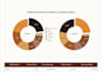 clean your messy data and build executive PDF reports